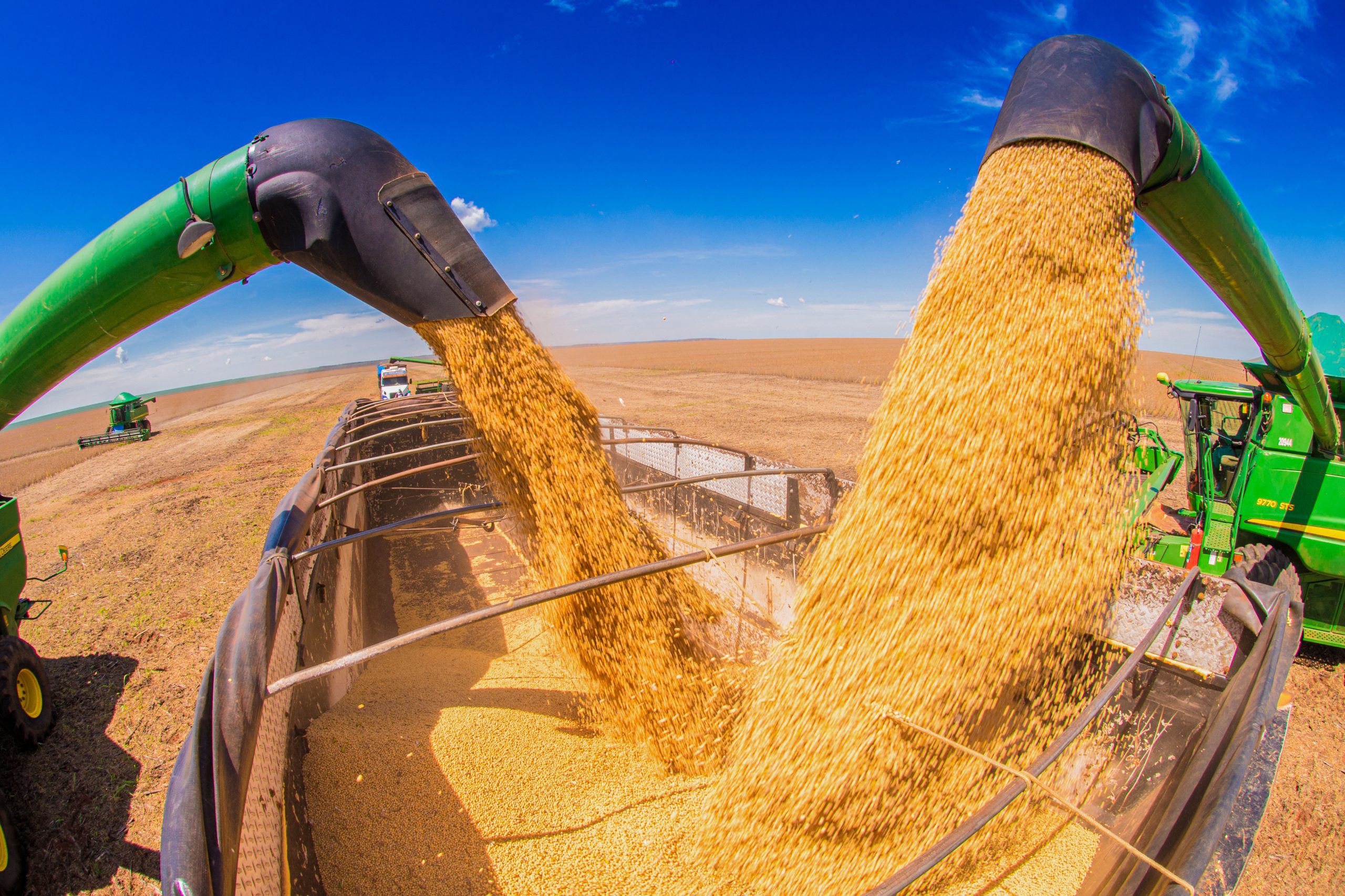 Regenerative Agriculture Practices at Core BioAg